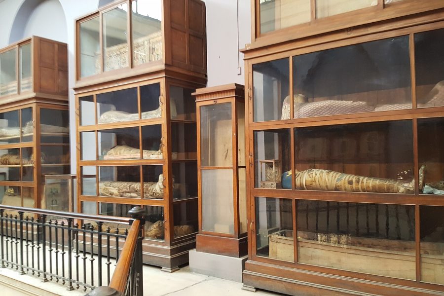 Egyptian Museum, Cairo 5