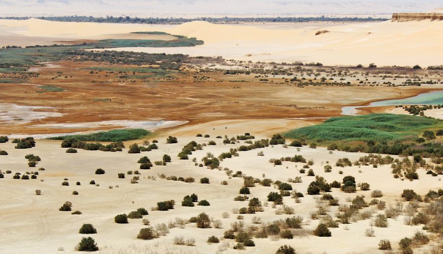 Modawara Mountain, Fayoum 3