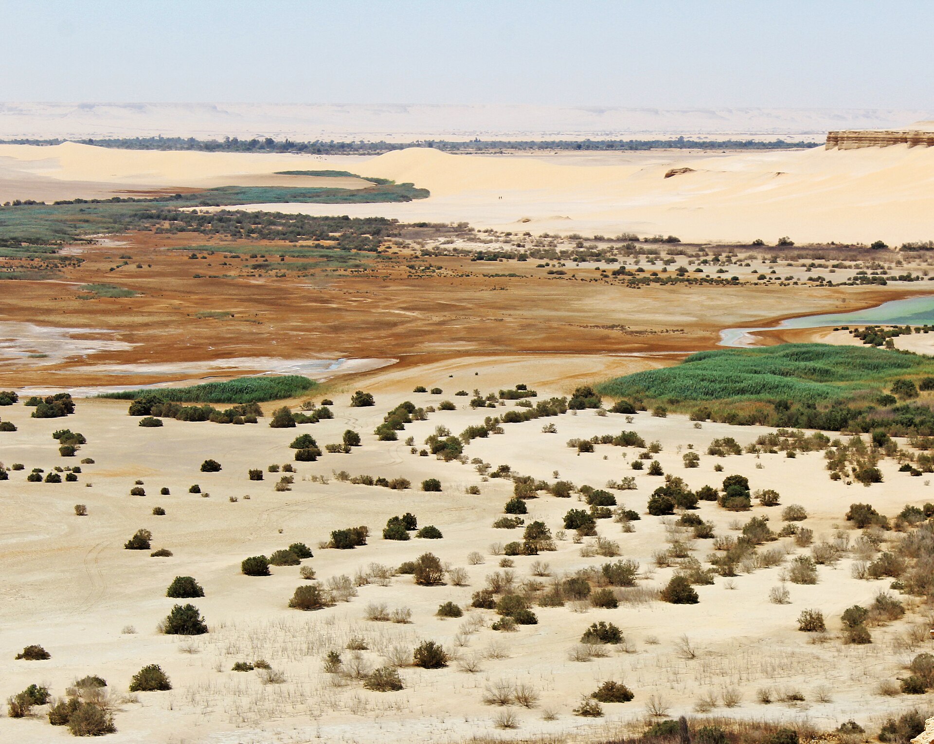 Modawara Mountain, Fayoum 3